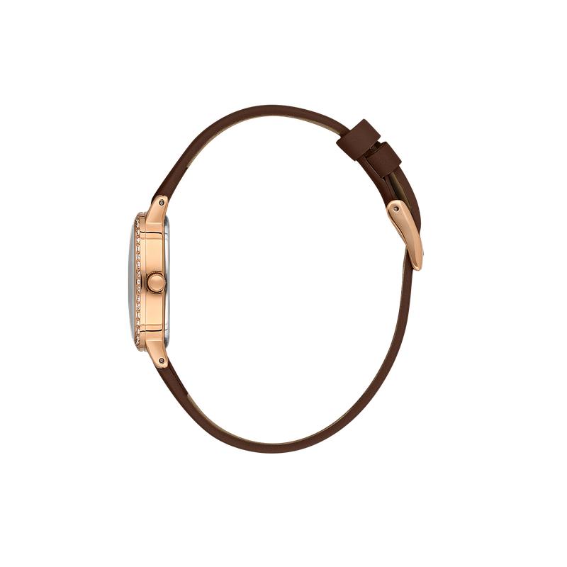 Daniel Klein Premium Gold Tone Brown Leather Watch