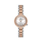 Daniel Klein Premium Silver Dial 3 Hands Watch